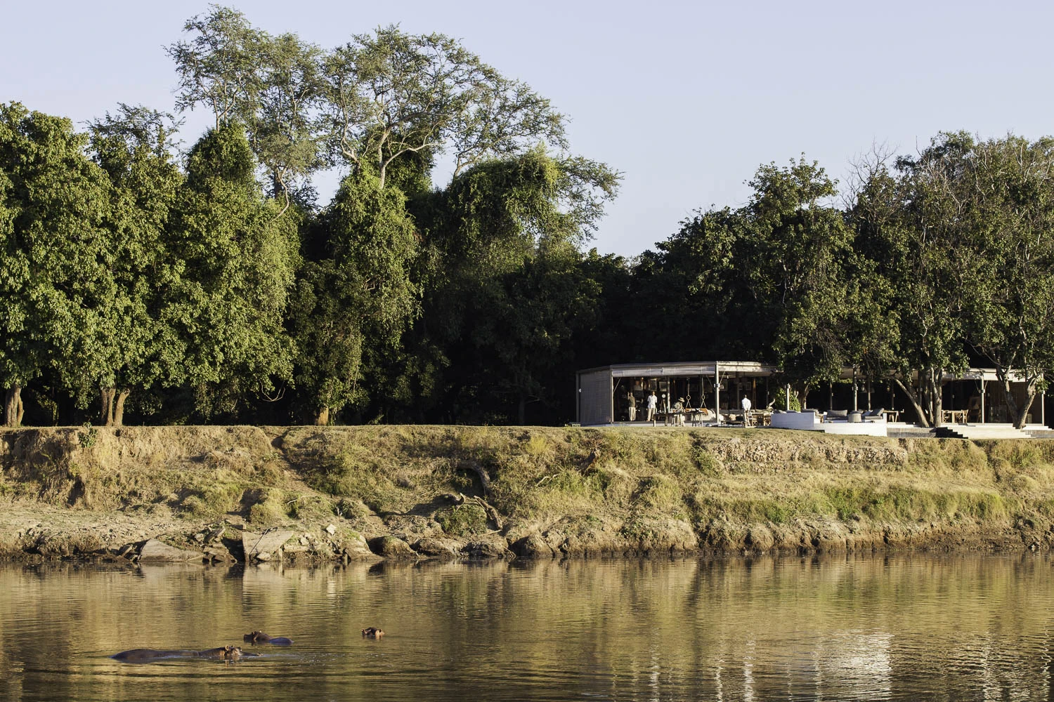 AdrianFisk-SouthLuangwaNationalPark-WebsiteEdit-7-2.jpg