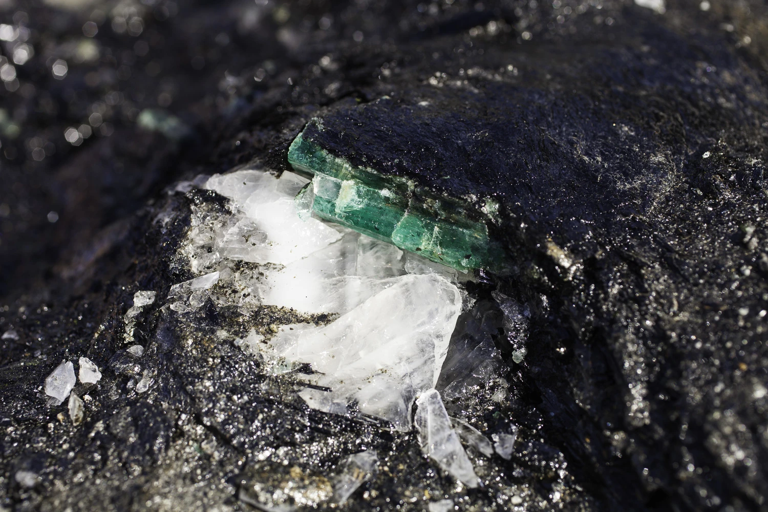 AdrianFisk-EmeraldsAmethyst-WebsiteEdit-2-4.jpg