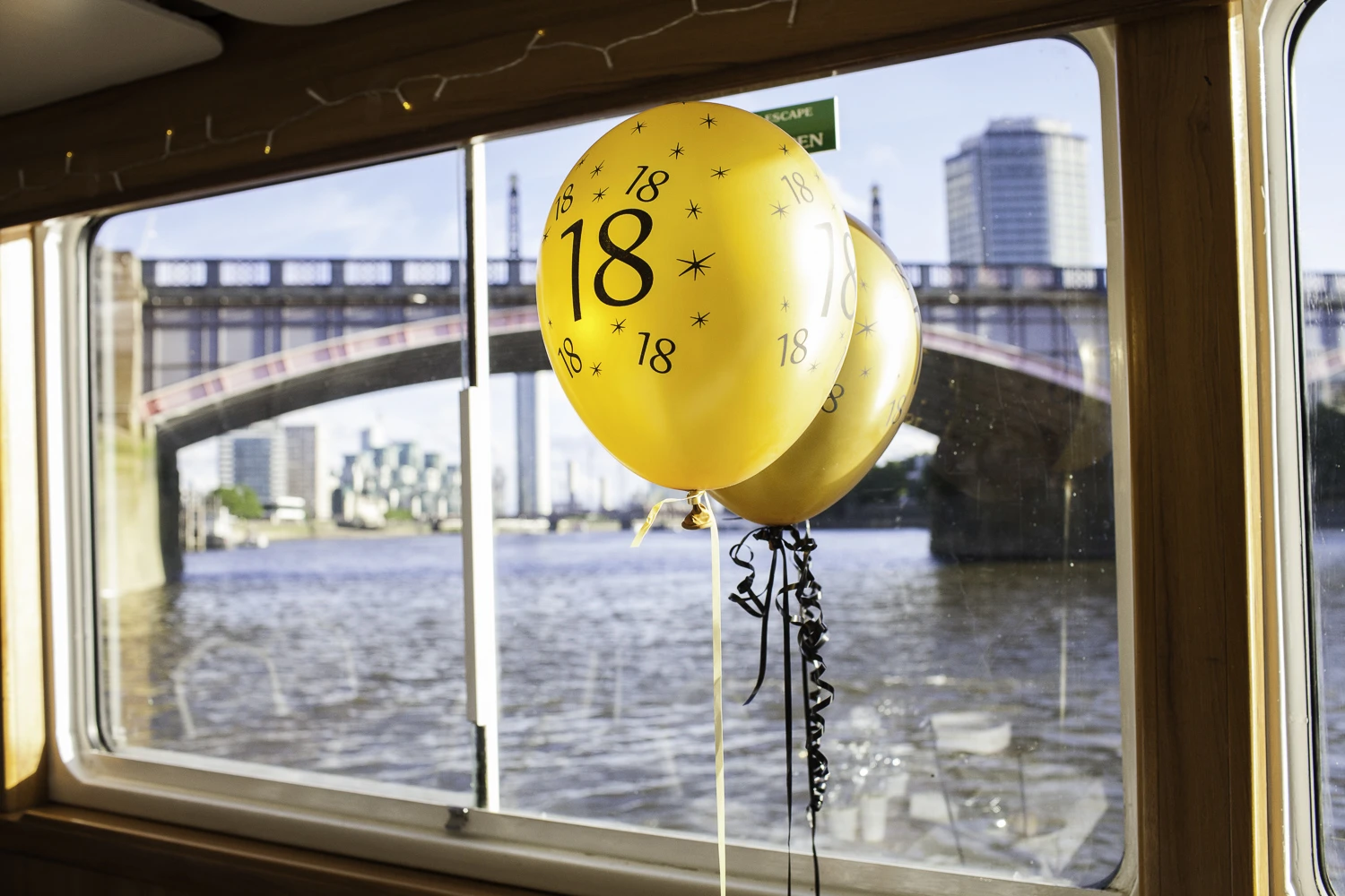 Adrian Fisk-ThamesRiverPartyBoat-6.jpg