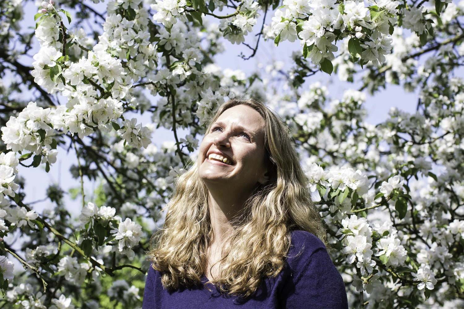 Start up entrepreneurs profile shoot in an orchard